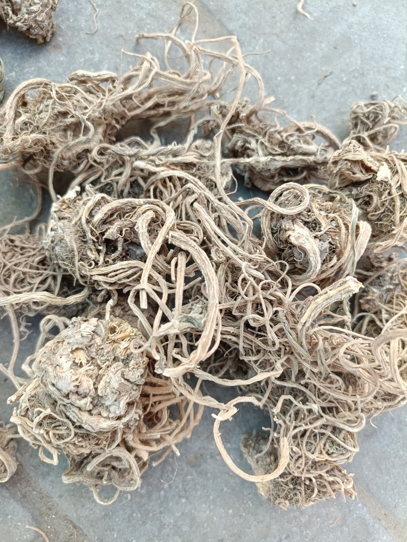 中药材韭菜根干货，水洗干净无杂自然晒干质量保证欢迎咨询购