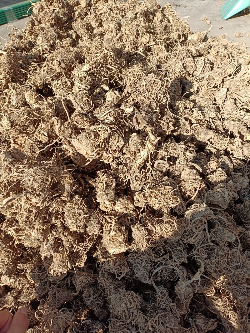 中药材韭菜根干货，水洗干净无杂自然晒干质量保证欢迎咨询购