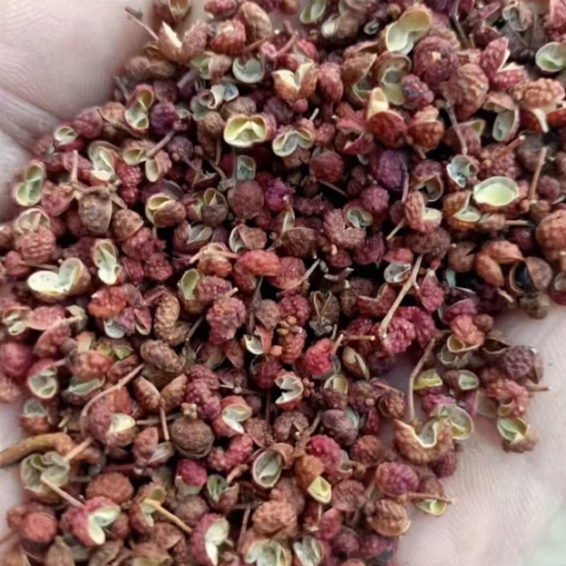 大红袍花椒山东花椒基地直发量大从优欢迎咨询