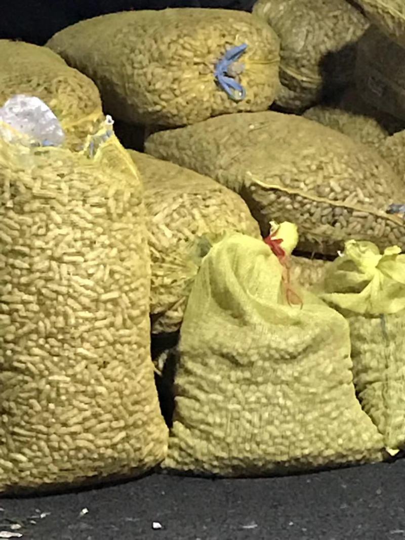 鲜花生海花花生，基地供货，颗粒饱满，量大从优，欢迎采购