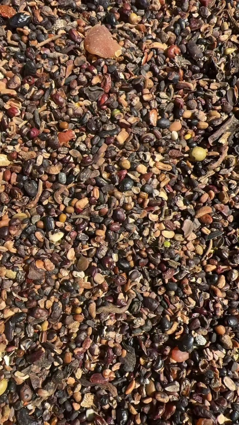 熟杂豆