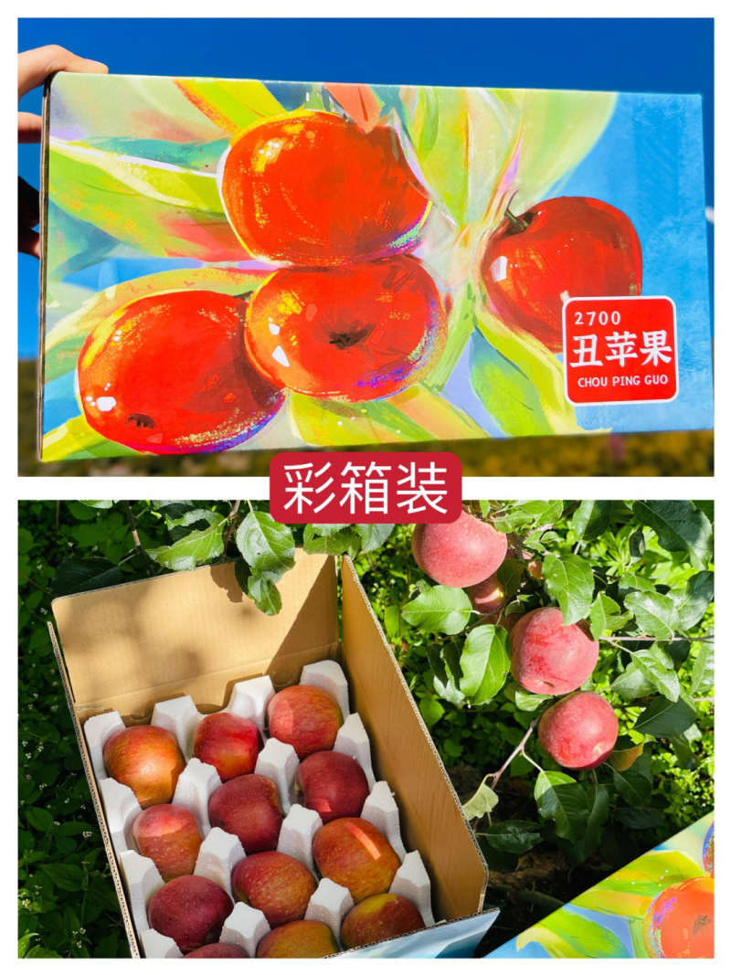 25季大凉山高山红将军糖心丑苹果酥脆香甜品质供货一件代发