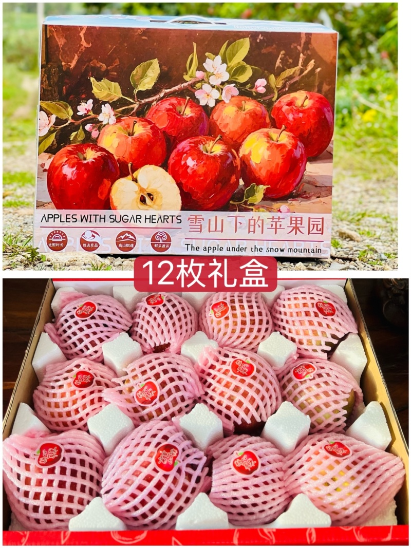 25季大凉山高山红将军糖心丑苹果酥脆香甜品质供货一件代发