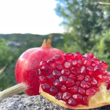 来自四川大凉山的美味，突尼斯软籽石榴，产地一手货源