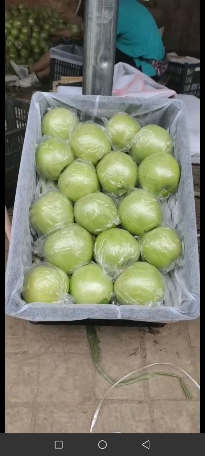 王林苹果，80起步，海量优质货源，诚信代收代发全国