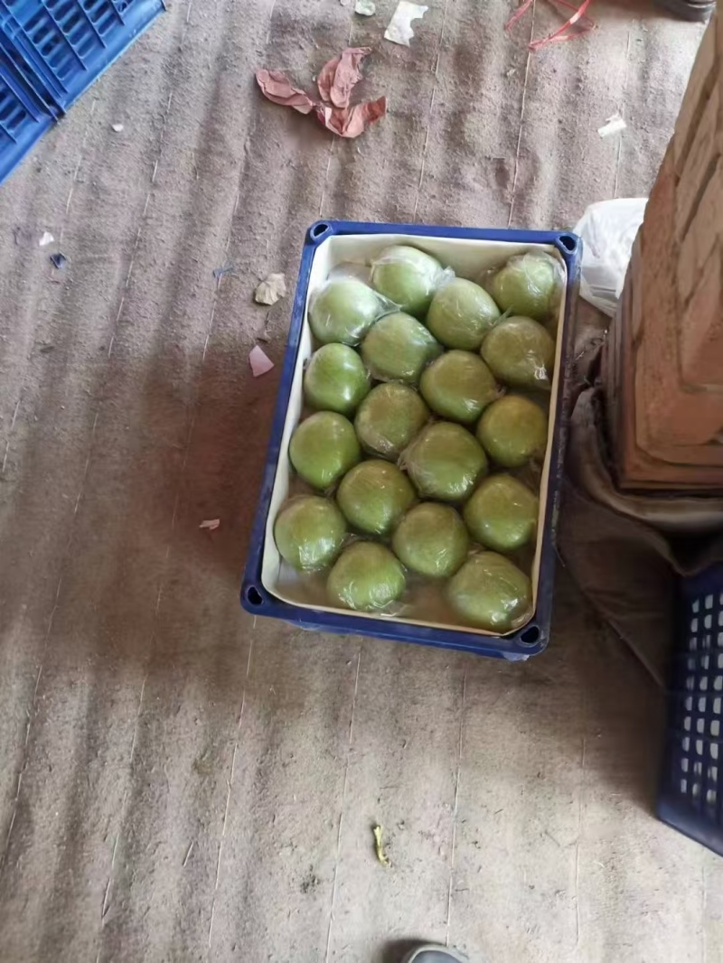 王林苹果，80起步，海量优质货源，诚信代收代发全国