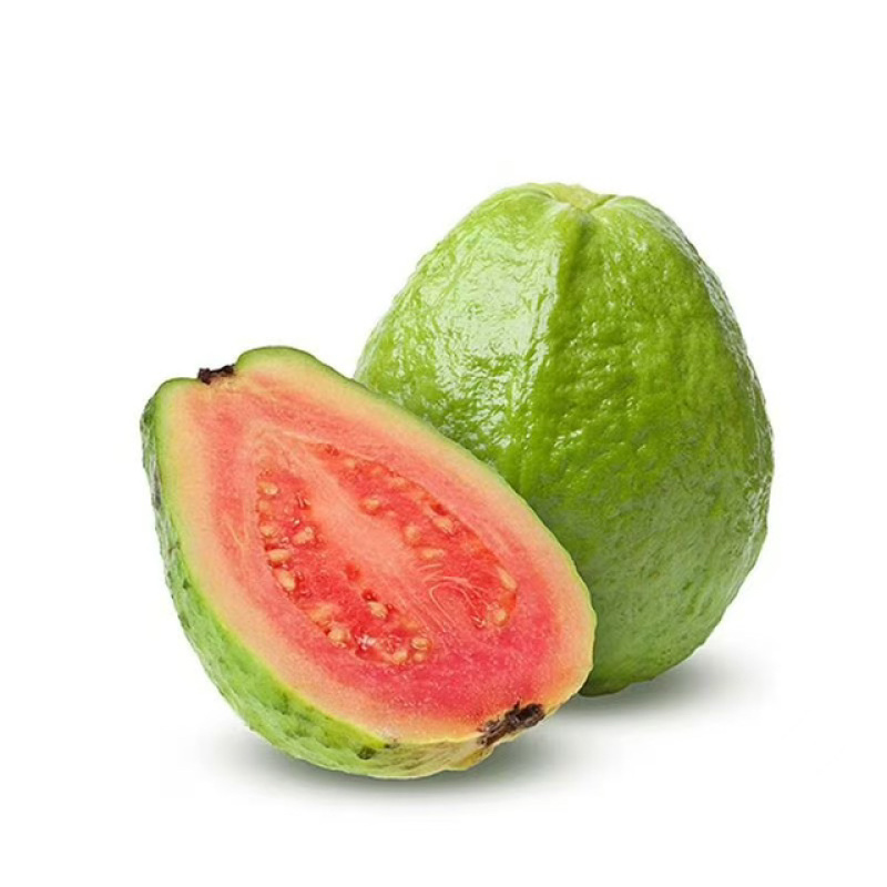 红心红宝石番石榴价格电话联系质量保证欢迎来电