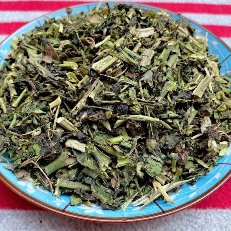 龙葵野生龙葵草天茄子黑天天苦葵野辣椒黑茄子龙葵果新鲜批发