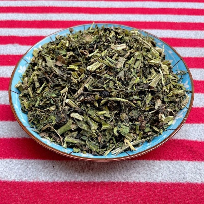 龙葵野生龙葵草天茄子黑天天苦葵野辣椒黑茄子龙葵果新鲜批发
