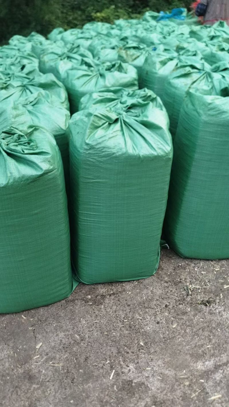 玉米秸秆青储