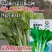 绿苔1号菜苔种子早熟青菜苔种籽清香青菜苔孑种农家四季蔬菜