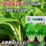 绿苔1号菜苔种子早熟青菜苔种籽清香青菜苔孑种农家四季蔬菜