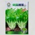 绿苔1号菜苔种子早熟青菜苔种籽清香青菜苔孑种农家四季蔬菜