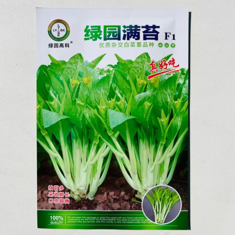 绿苔1号菜苔种子早熟青菜苔种籽清香青菜苔孑种农家四季蔬菜