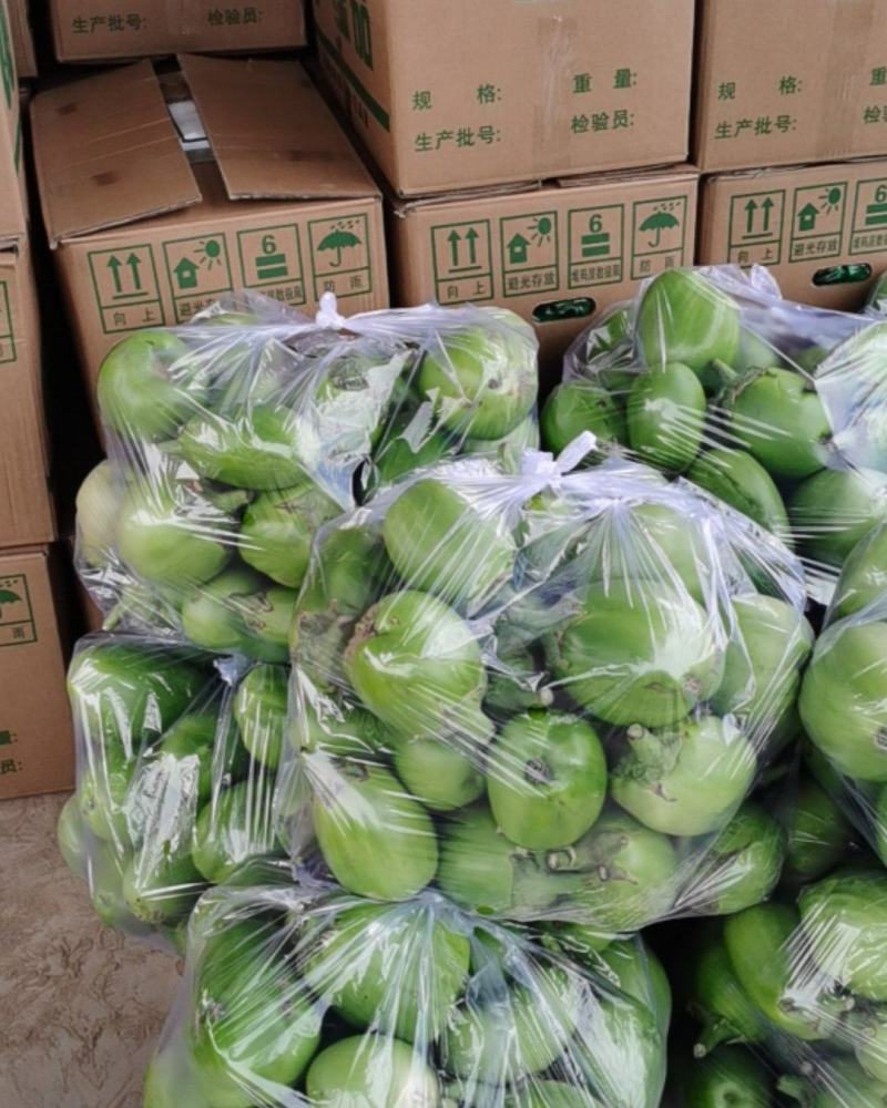 河南安阳精品青茄，每天现货发出，品质好价格优，欢迎垂询！