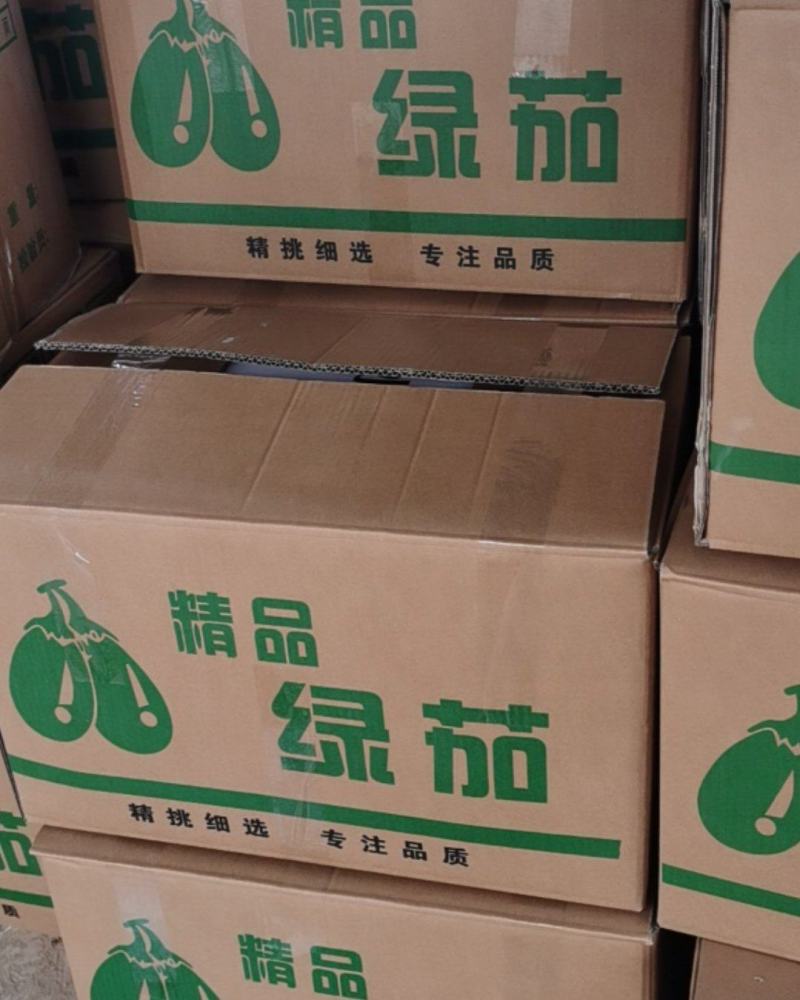 河南安阳精品青茄，每天现货发出，品质好价格优，欢迎垂询！