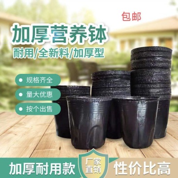 加厚营养杯育苗杯塑料营养钵加厚育苗袋农用一件也是批发价