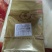 梅香马鲛鱼鹏程曙光大牌子量大价优