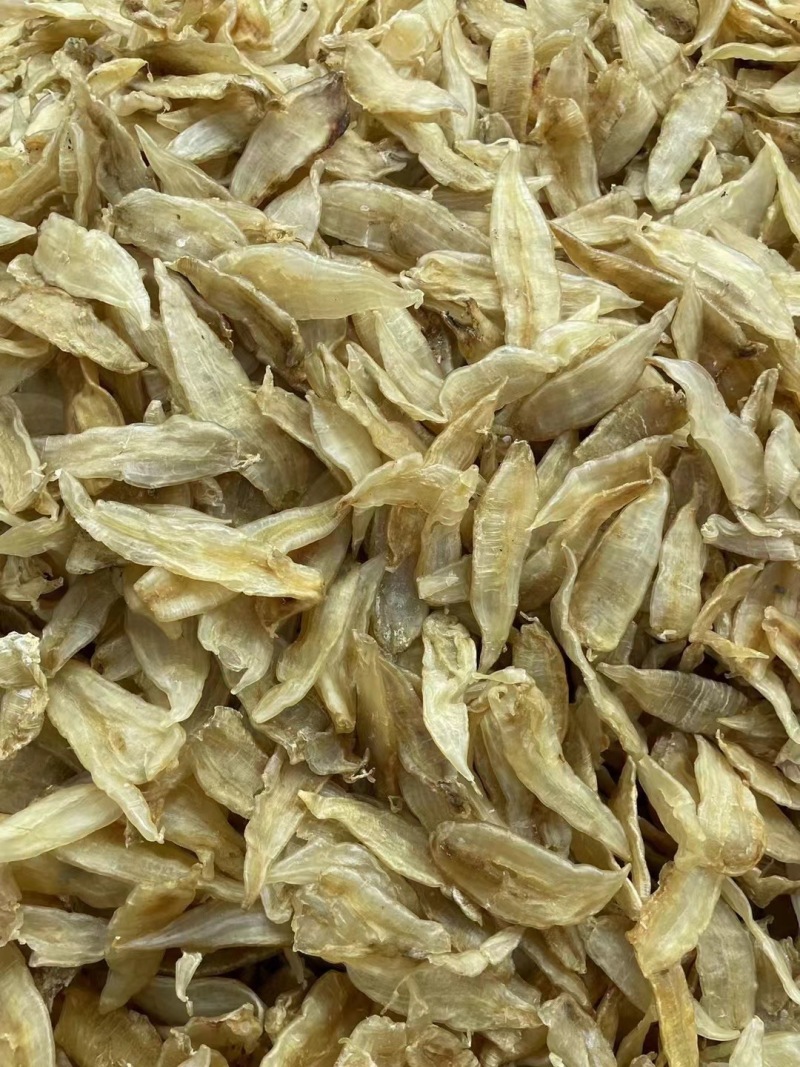 小金龙