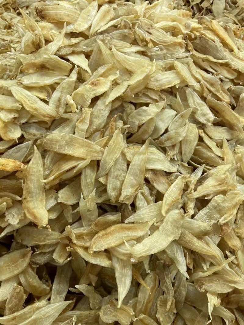 小金龙