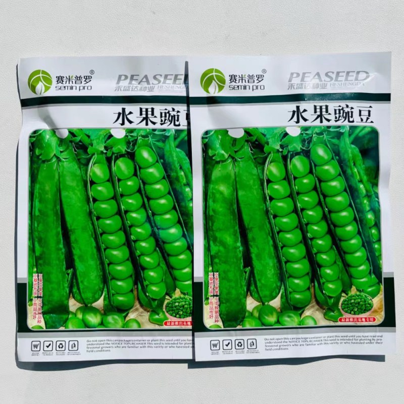 甜豌豆种子水果型脆可生吃菜豌豆大荚青豆甜豌豆尖四季播蔬菜