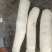 黄木薯