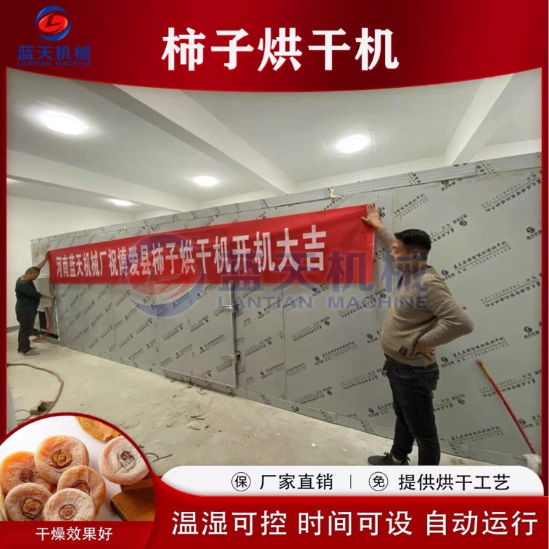 柿子烘干房柿饼烘干加工机器柿饼风干房柿子烤房柿干电烤房