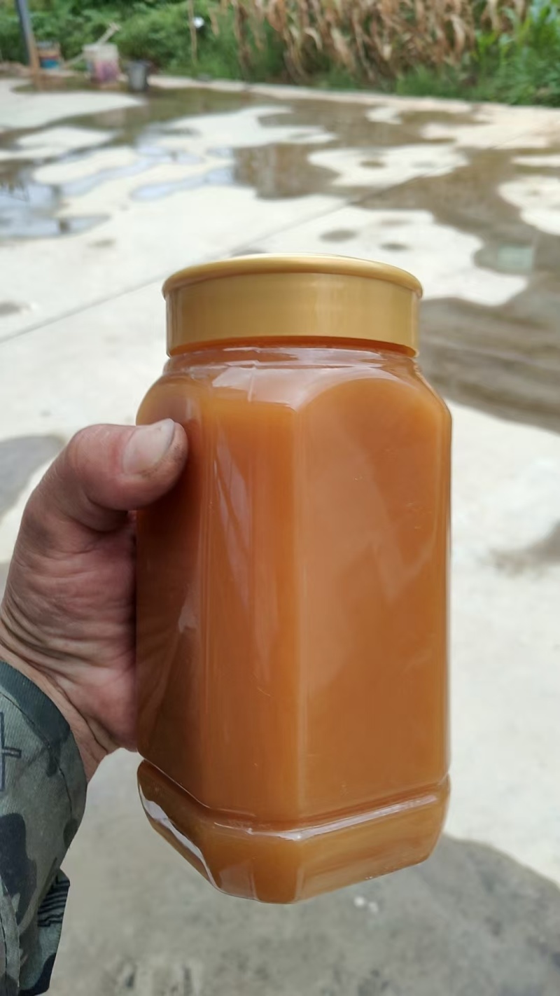 云南土蜂蜜/野生蜂蜜口感好品质优可视频看货欢迎来电咨