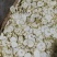 梨干，一手货源，大量供货，量大从优，对接全国，
