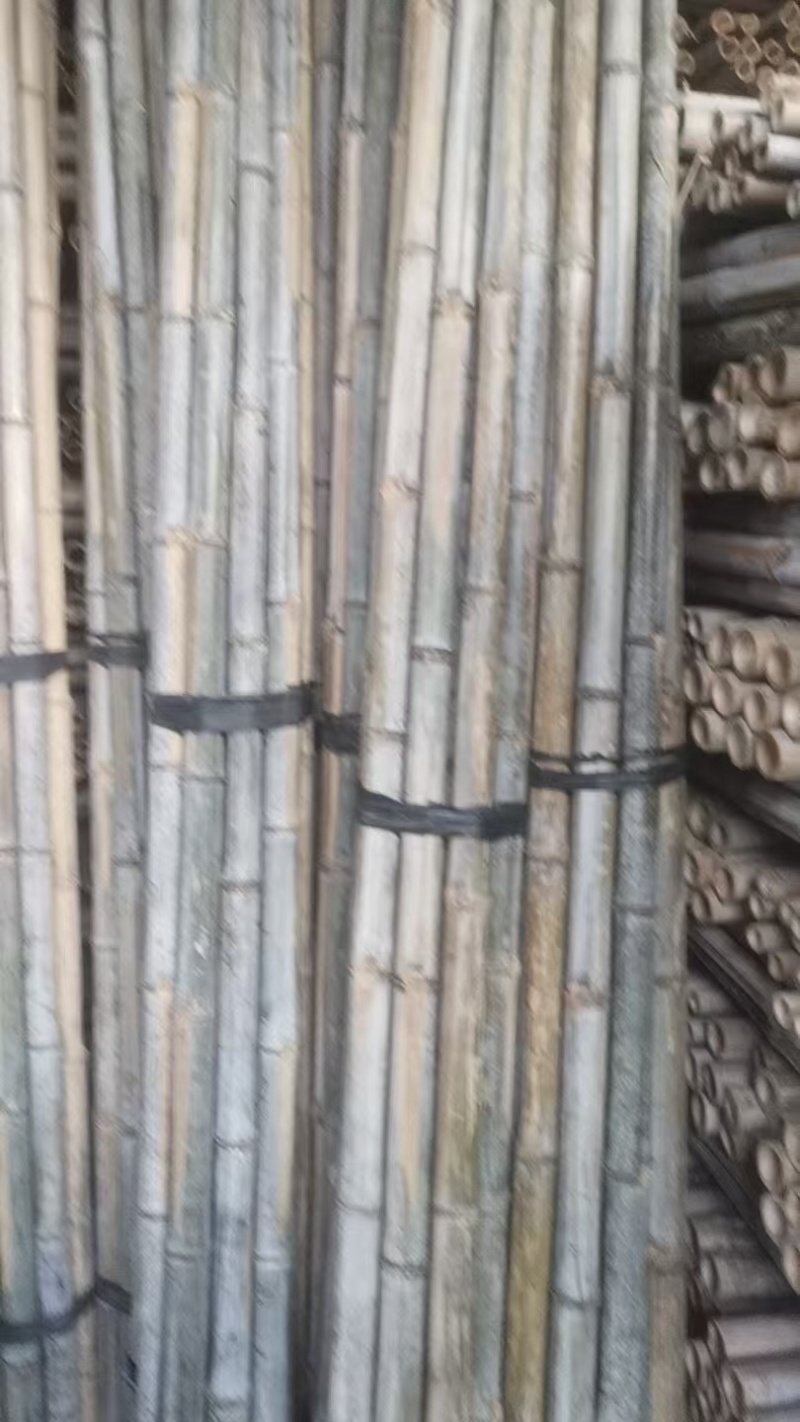 老竹梢原产地直发品质保证大量有货价格美丽