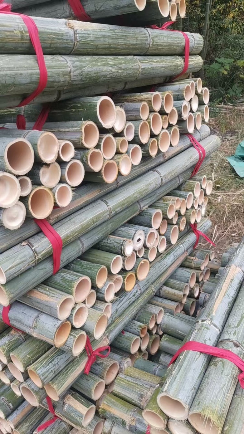 老竹梢原产地直发品质保证大量有货价格美丽