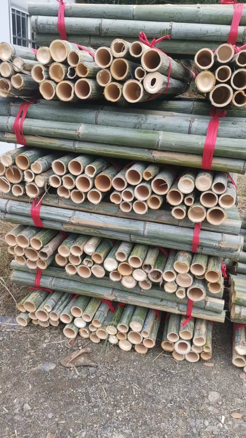 老竹梢原产地直发品质保证大量有货价格美丽