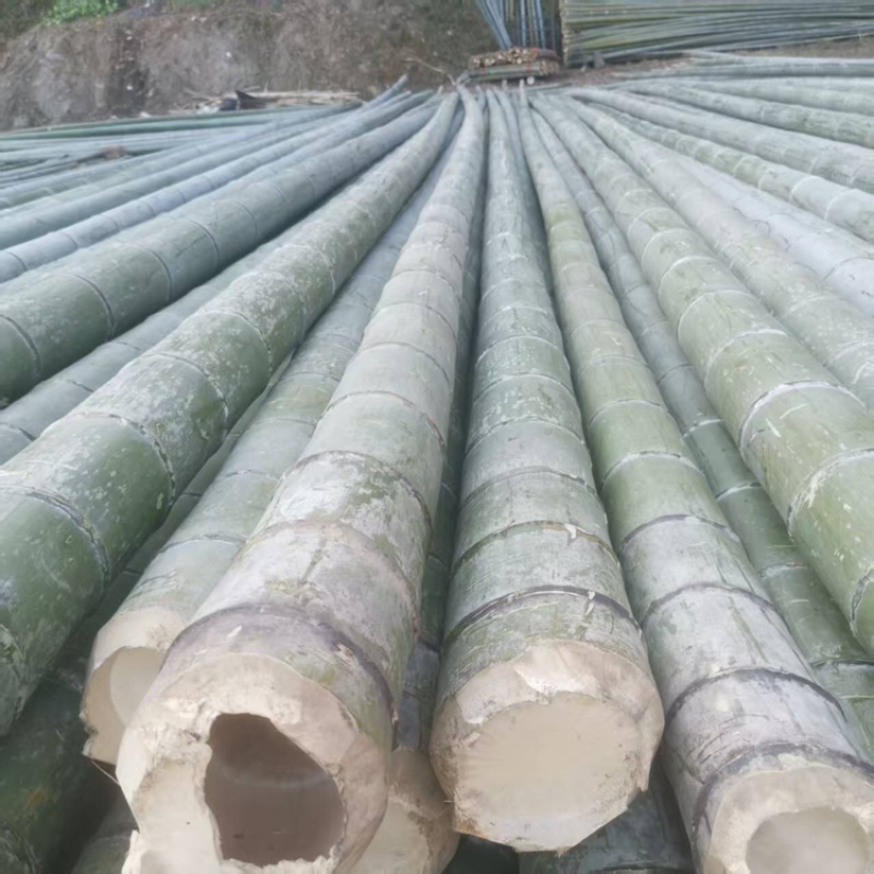 毛竹价格美丽量大从优品质保证服务周到