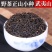 桐木关高山花香野茶正山小种古树红茶武夷山厂家茶叶货源散装