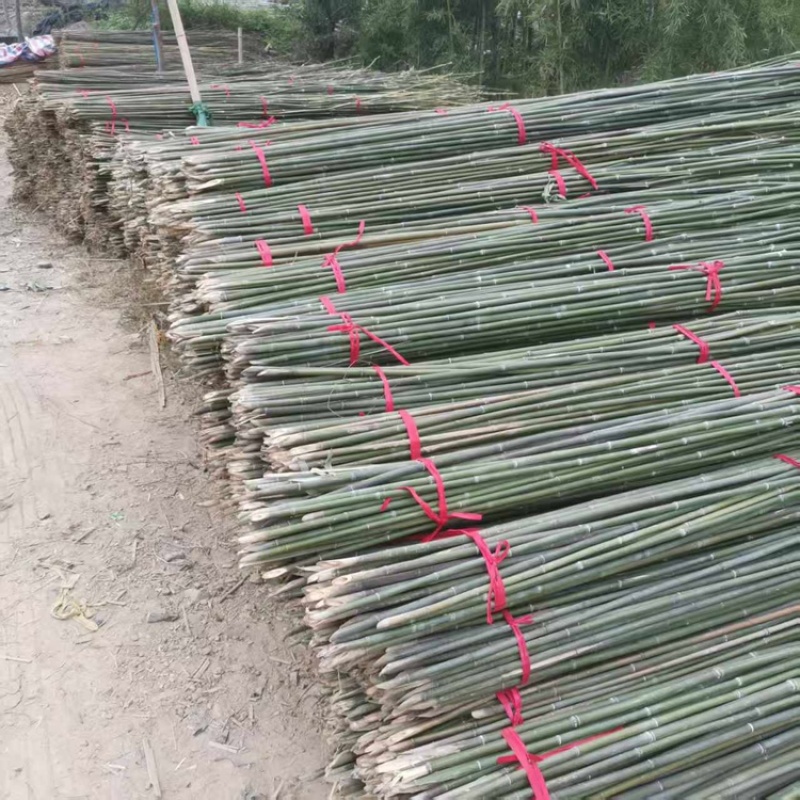 油竹品质保证品类齐全大量有货产地直发价格美丽