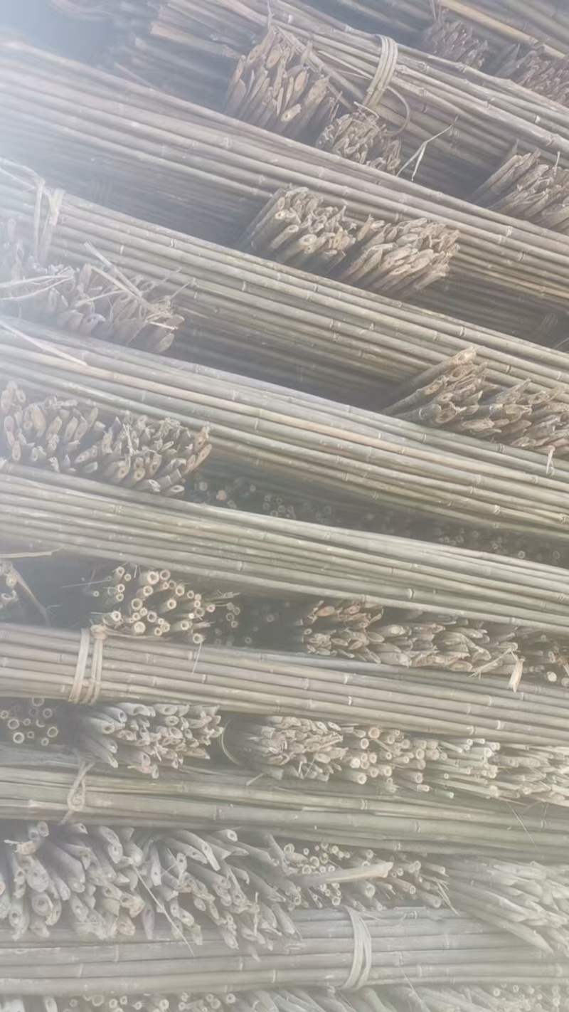 油竹品质保证品类齐全大量有货产地直发价格美丽