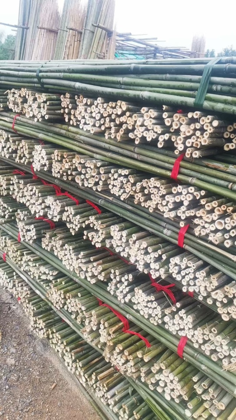 油竹品质保证品类齐全大量有货产地直发价格美丽