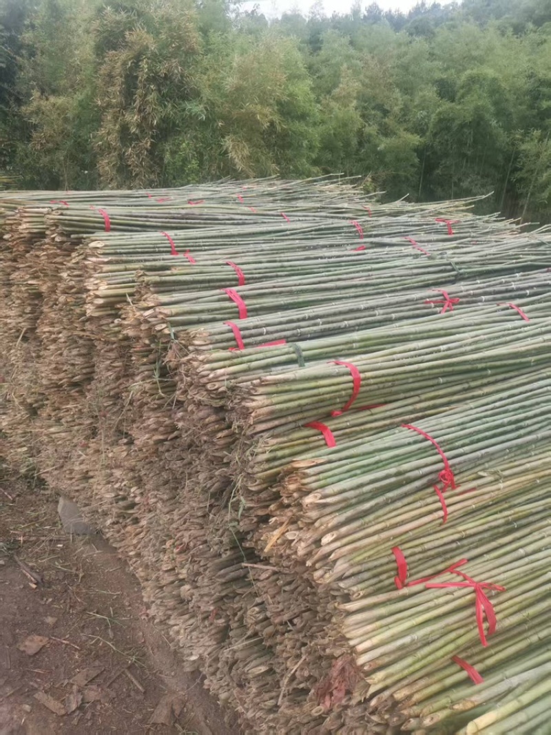 油竹品质保证品类齐全大量有货产地直发价格美丽