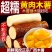 2025现货黄肉木薯华南9号木薯黄心木薯糖水店同款代发