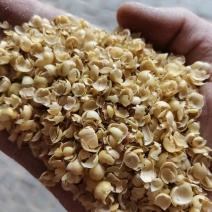 大豆皮