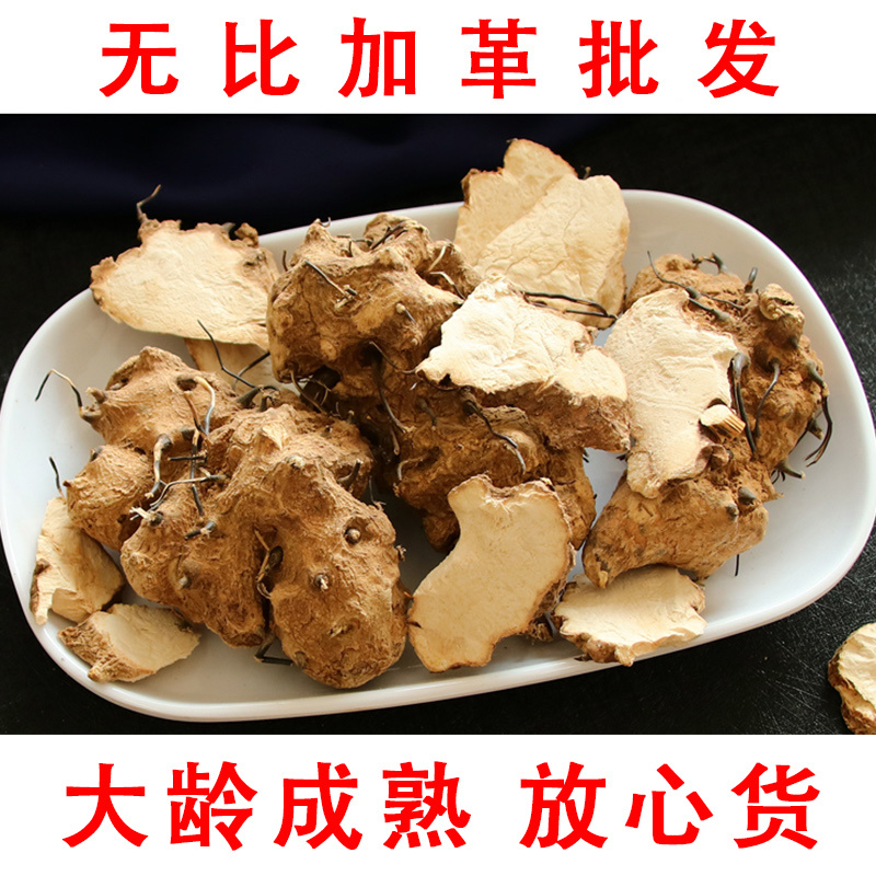 无比加革界元根牛雨无比加革大龄成熟泡酒料切片真货进口好货