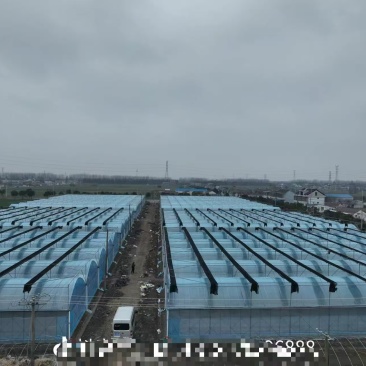 大棚厂家一站式供应安装设计建立各种温室大棚，玻璃温室