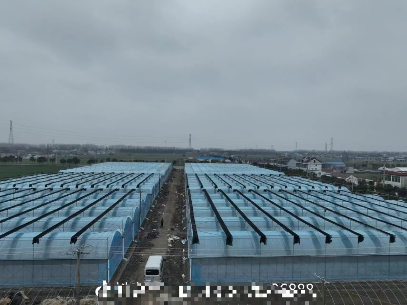 大棚厂家一站式供应安装设计建立各种温室大棚，玻璃温室