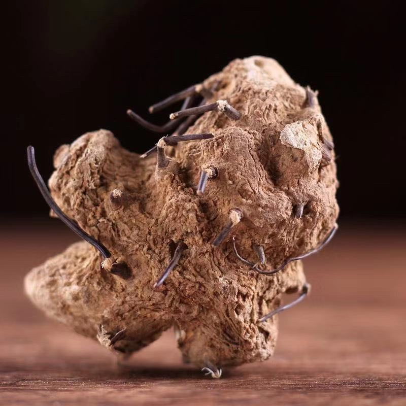 无比加革界元根牛雨无比加革大龄成熟泡酒料切片真货进口好货
