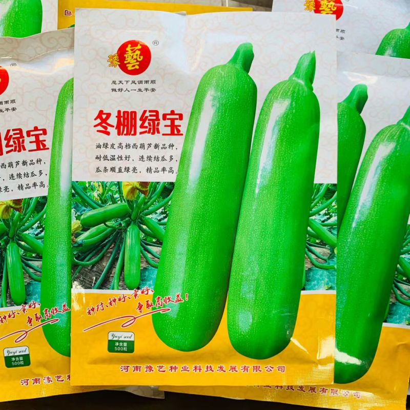 豫艺冬棚绿宝西葫芦种子耐低温高产抗病早春越冬大棚专用