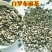 罗布麻茶新疆特产泡水泡茶喝原味花草茶包邮批发