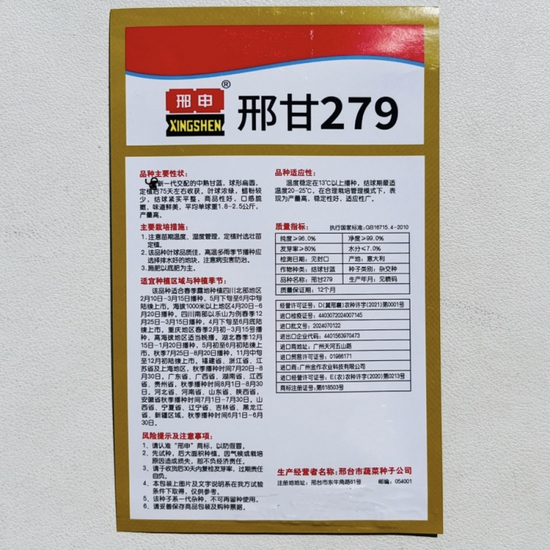 邢申刑甘279口感型甘蓝种子中熟包菜种籽杂交水果甘蓝种子