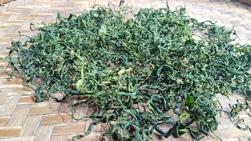 专注忧遁草种植