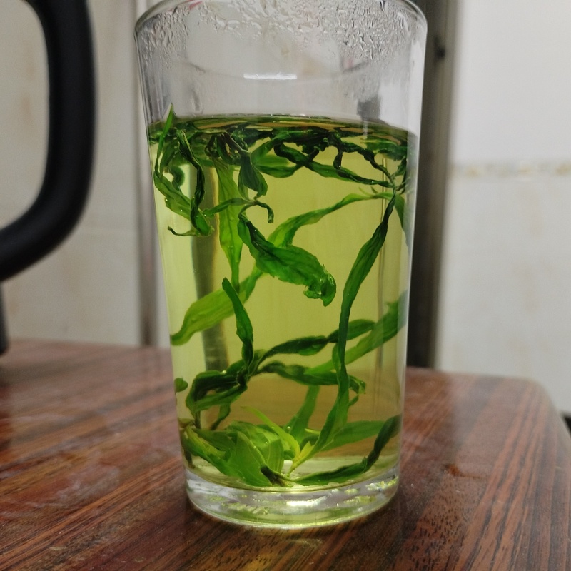 专注忧遁草种植