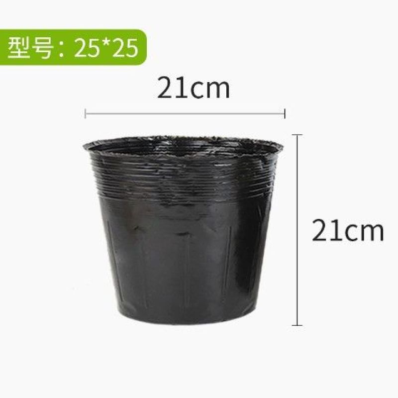 营养钵塑料育苗杯育苗钵一次性花盆育苗袋育苗杯
